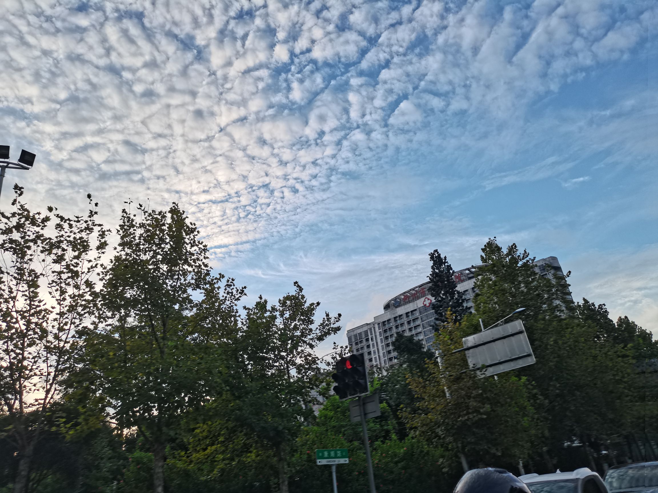 刘凤玲头像