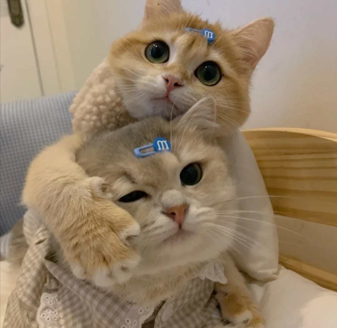 谭良丽头像
