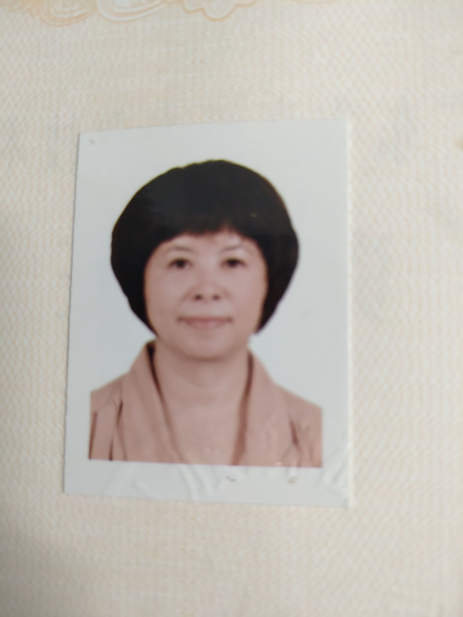 朱文爱头像