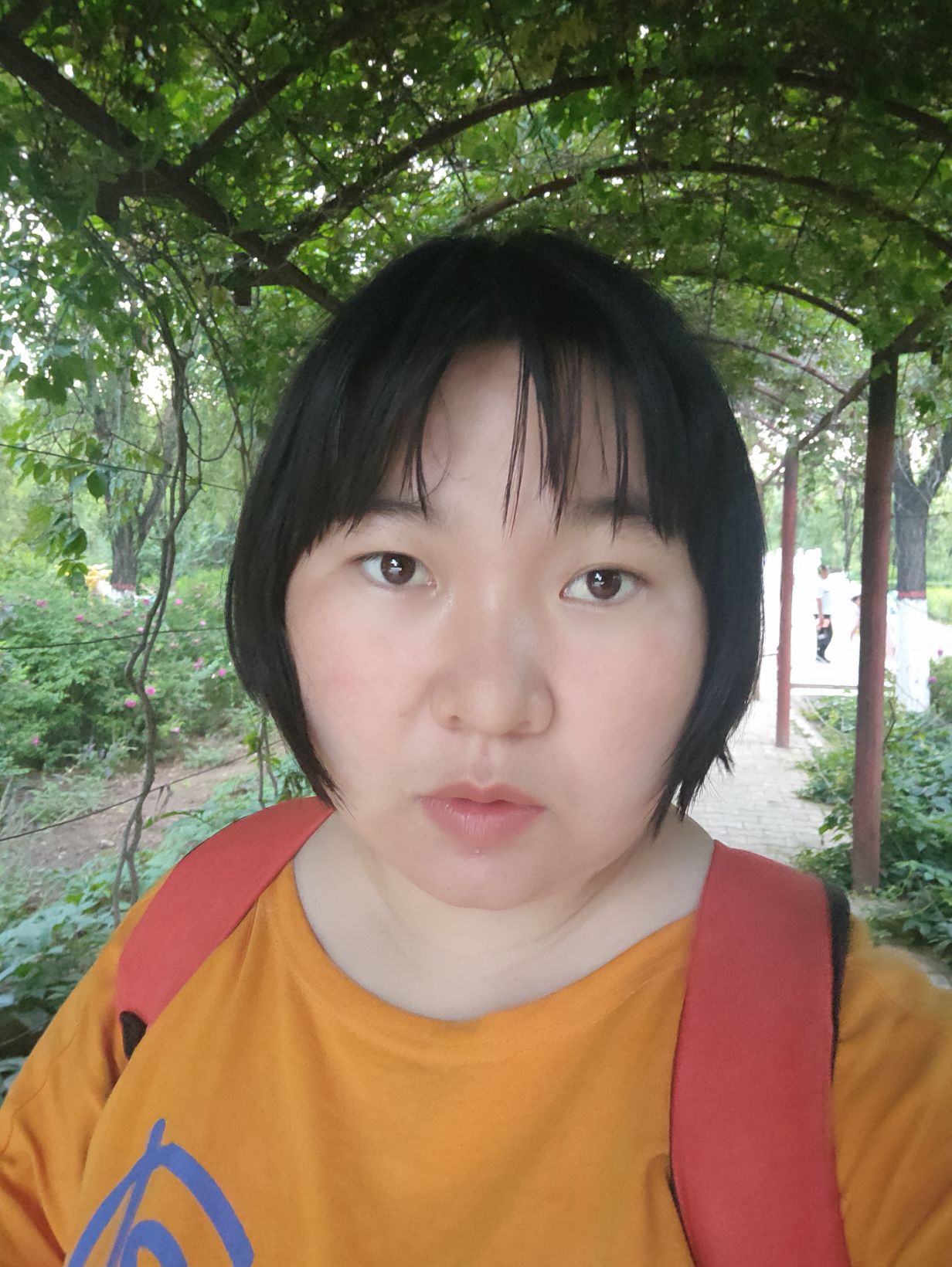 孙风琴头像