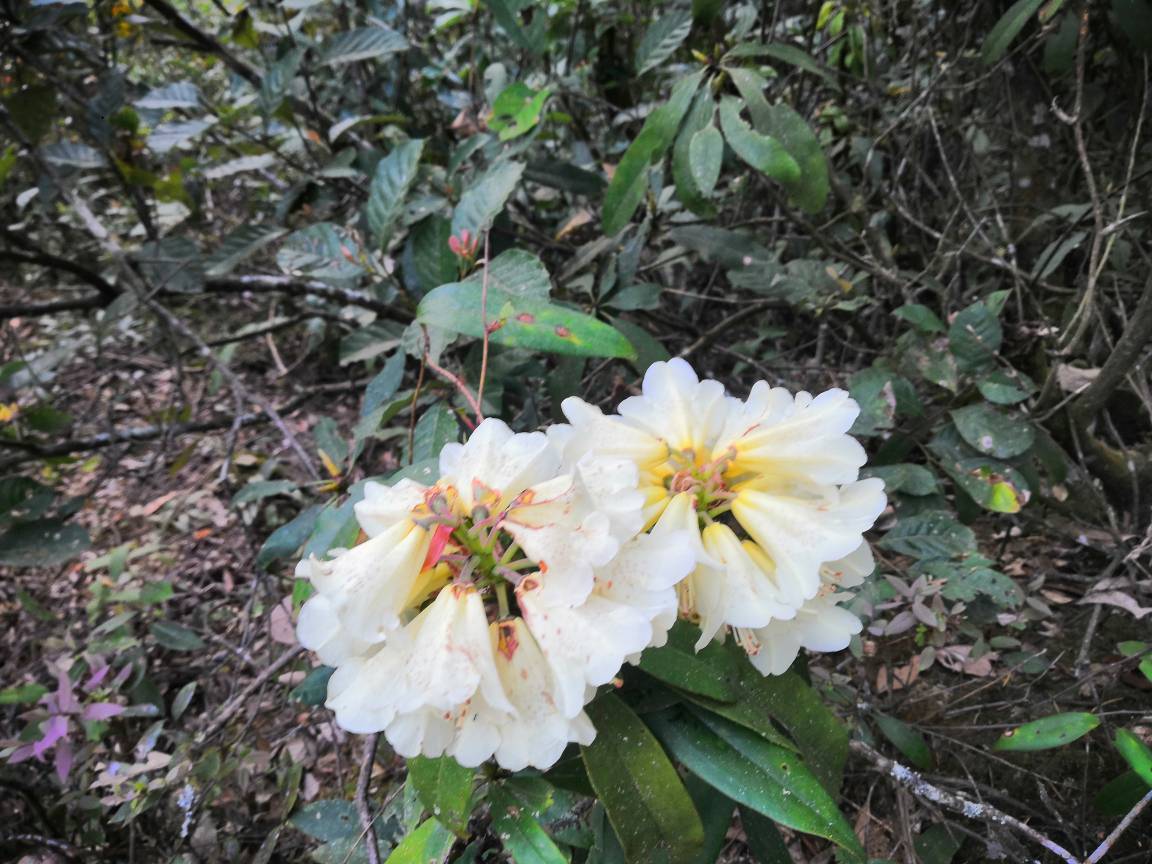 陆炳福头像