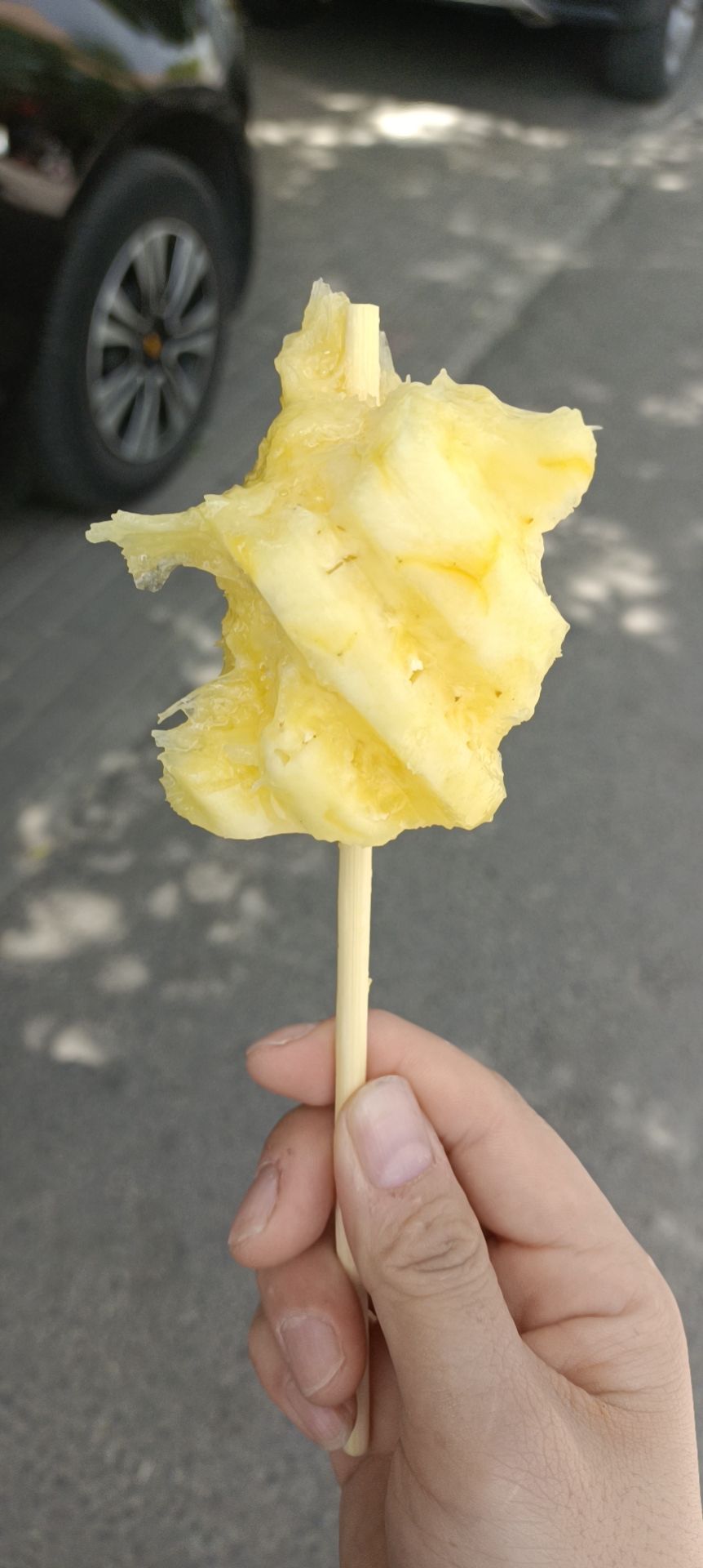 梁葵花头像
