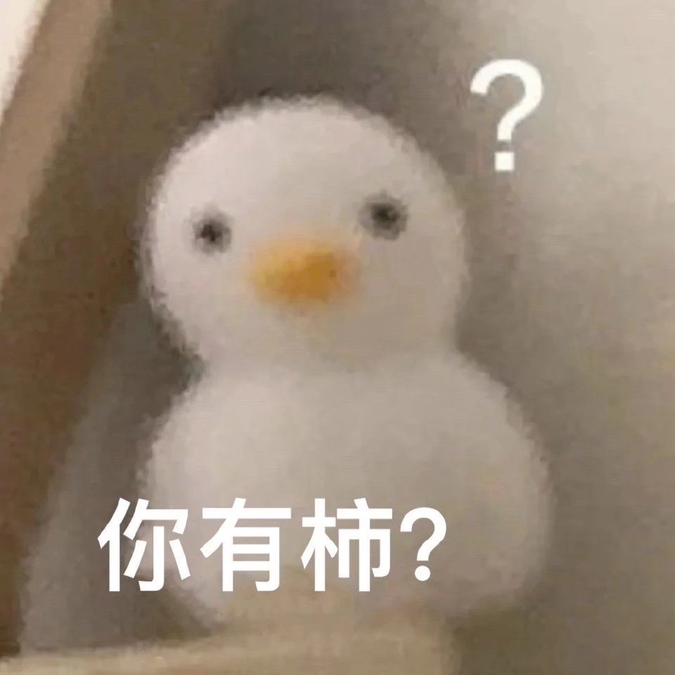 王梓怡头像