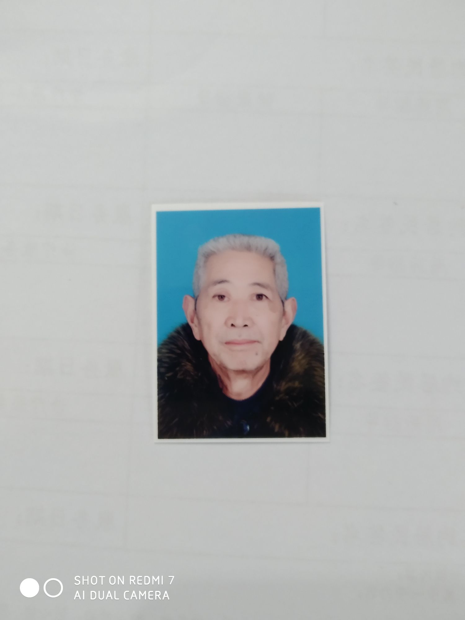 许新人头像