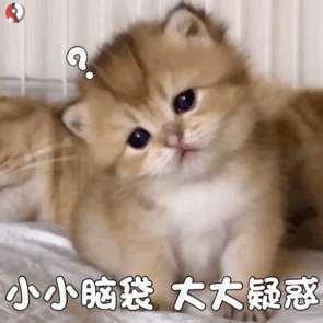 翟硕头像