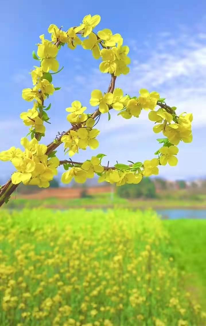 沙忍落头像