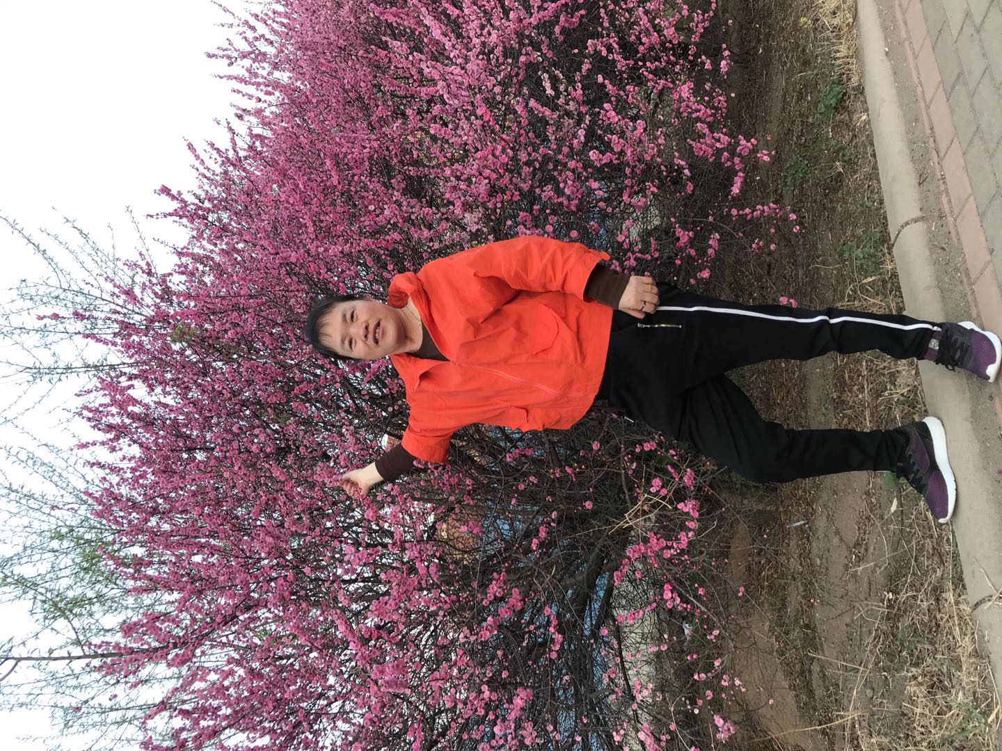 杜晓馥头像