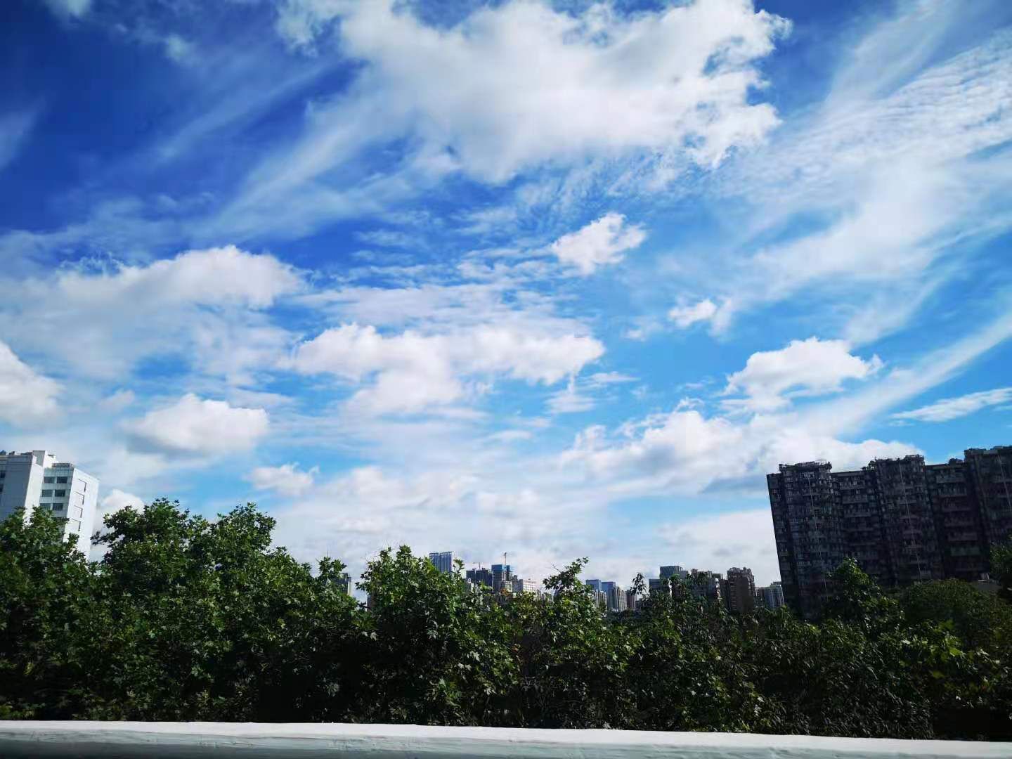 刘霞头像