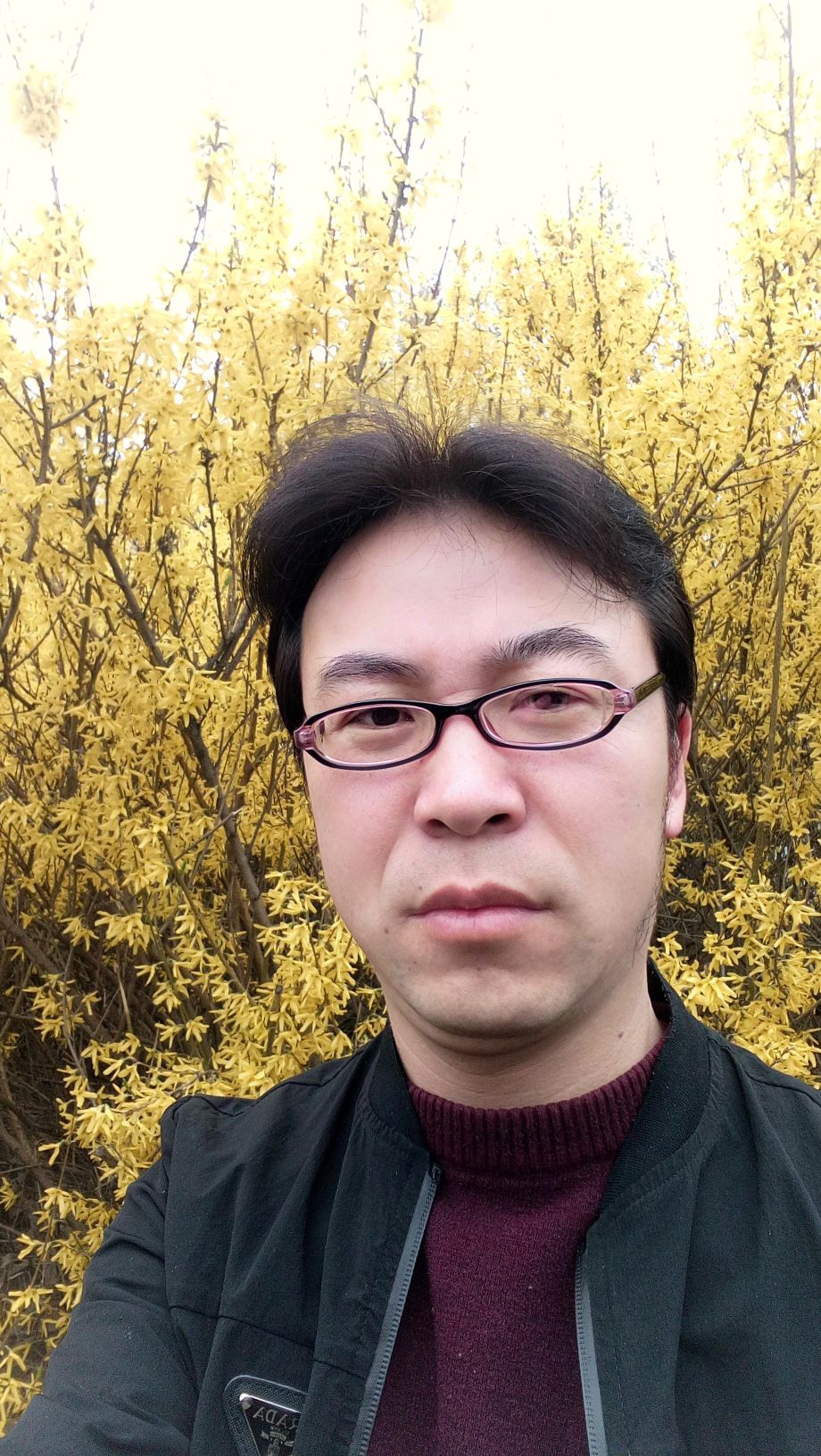 付海宝头像