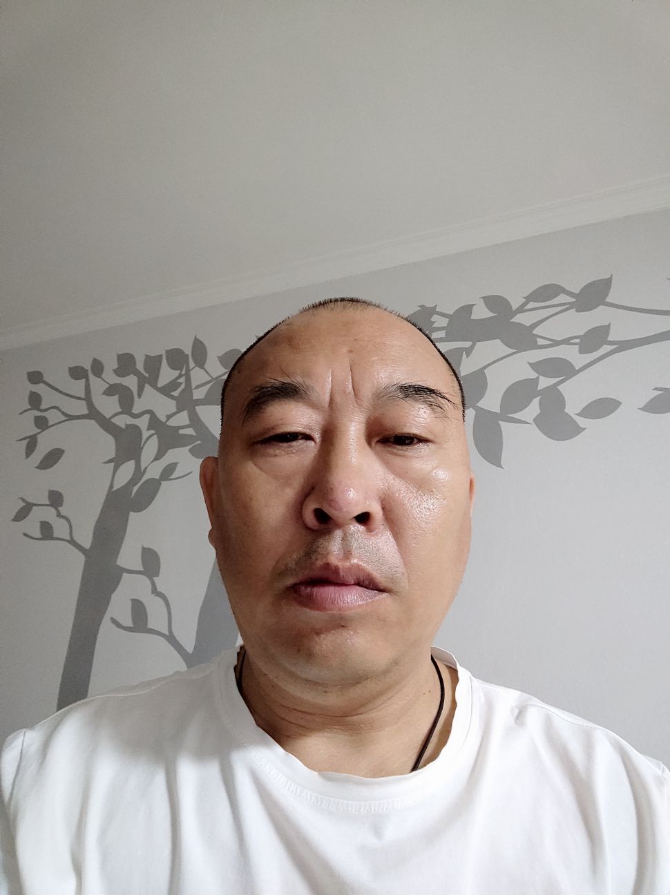 王春东头像