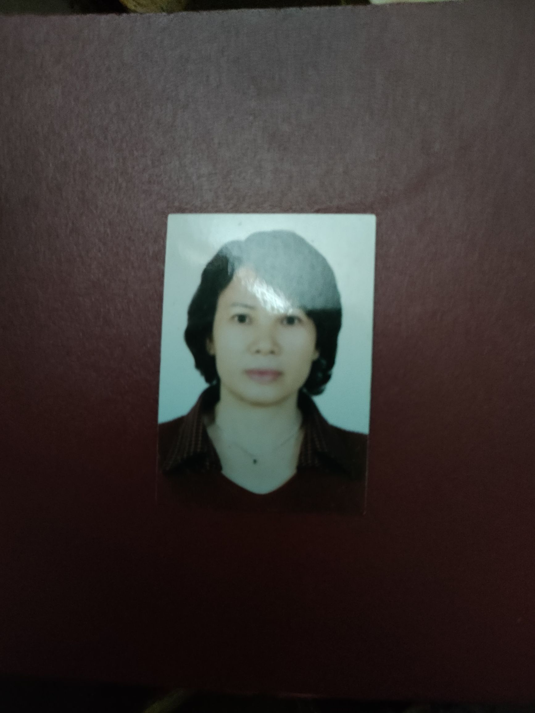 苏金凤头像