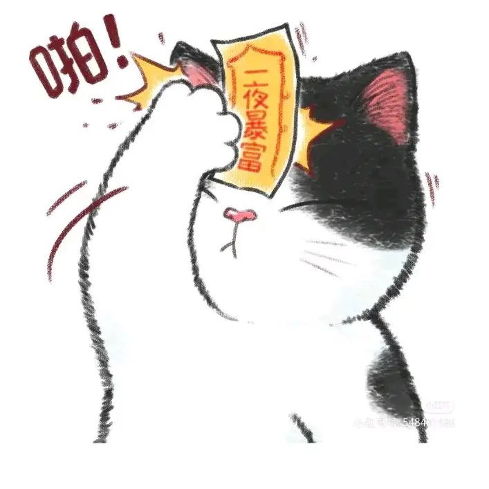 袁华茹头像