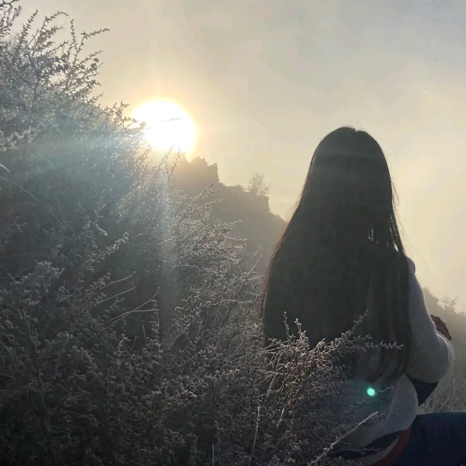 包春梅头像