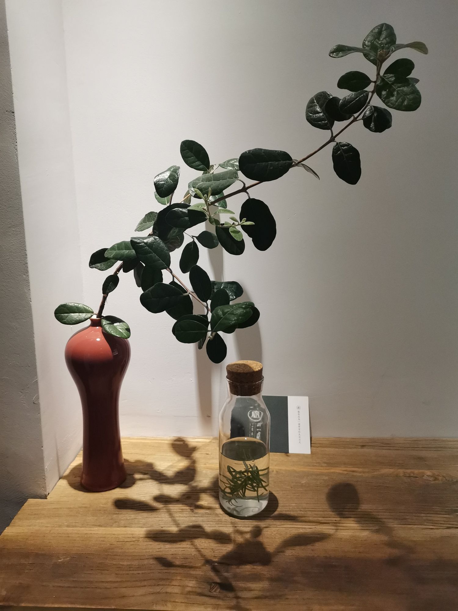 王晶亮头像