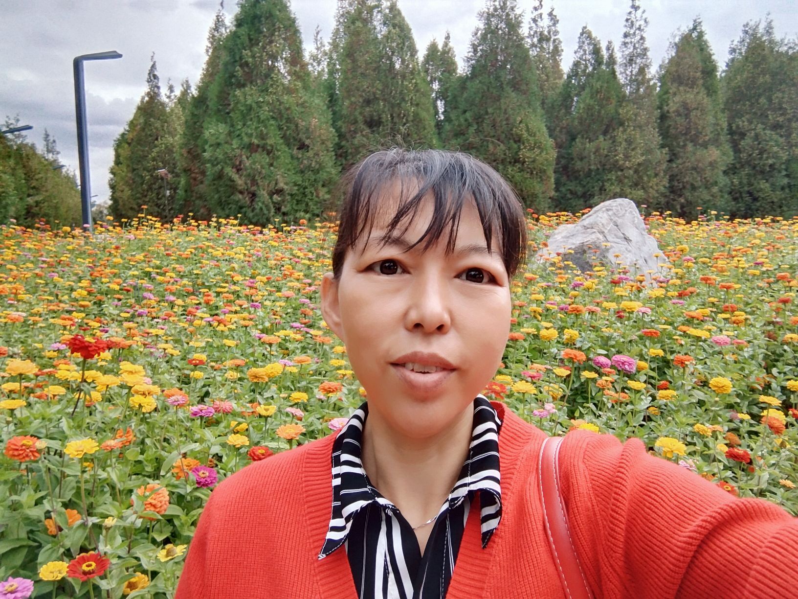张维丽头像
