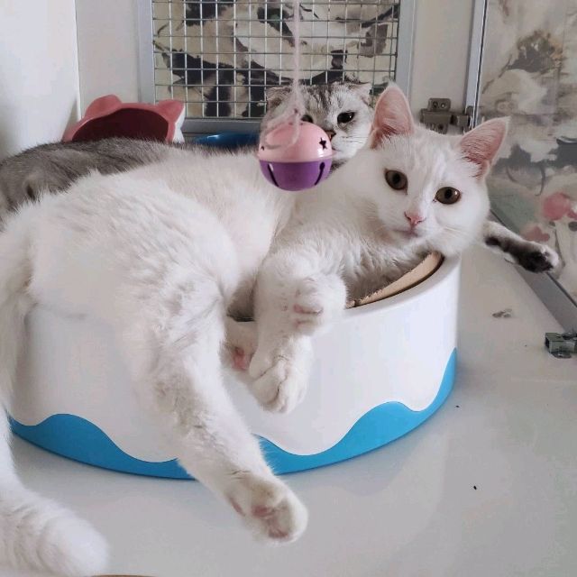 陈宇头像