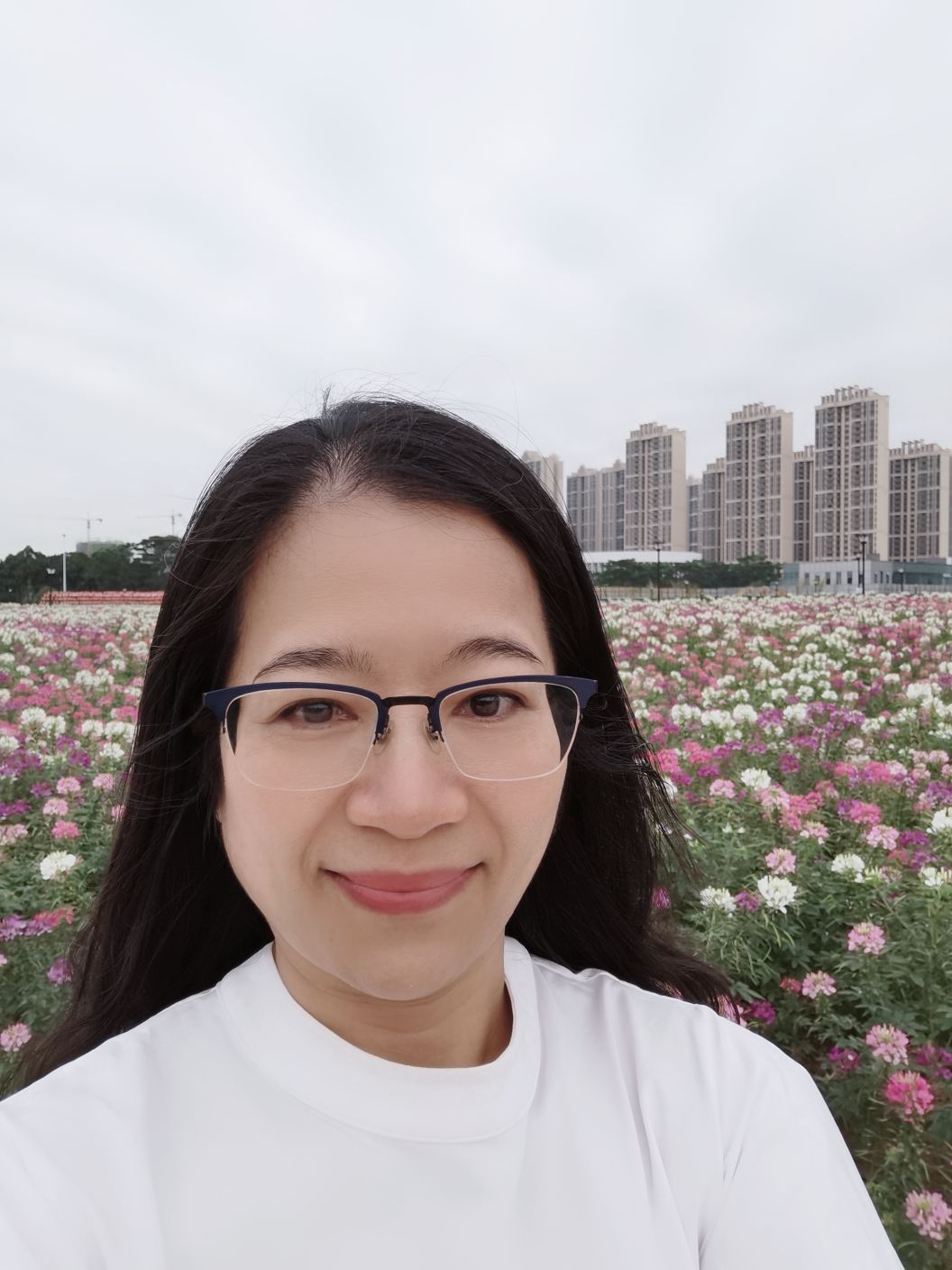 黄海清头像
