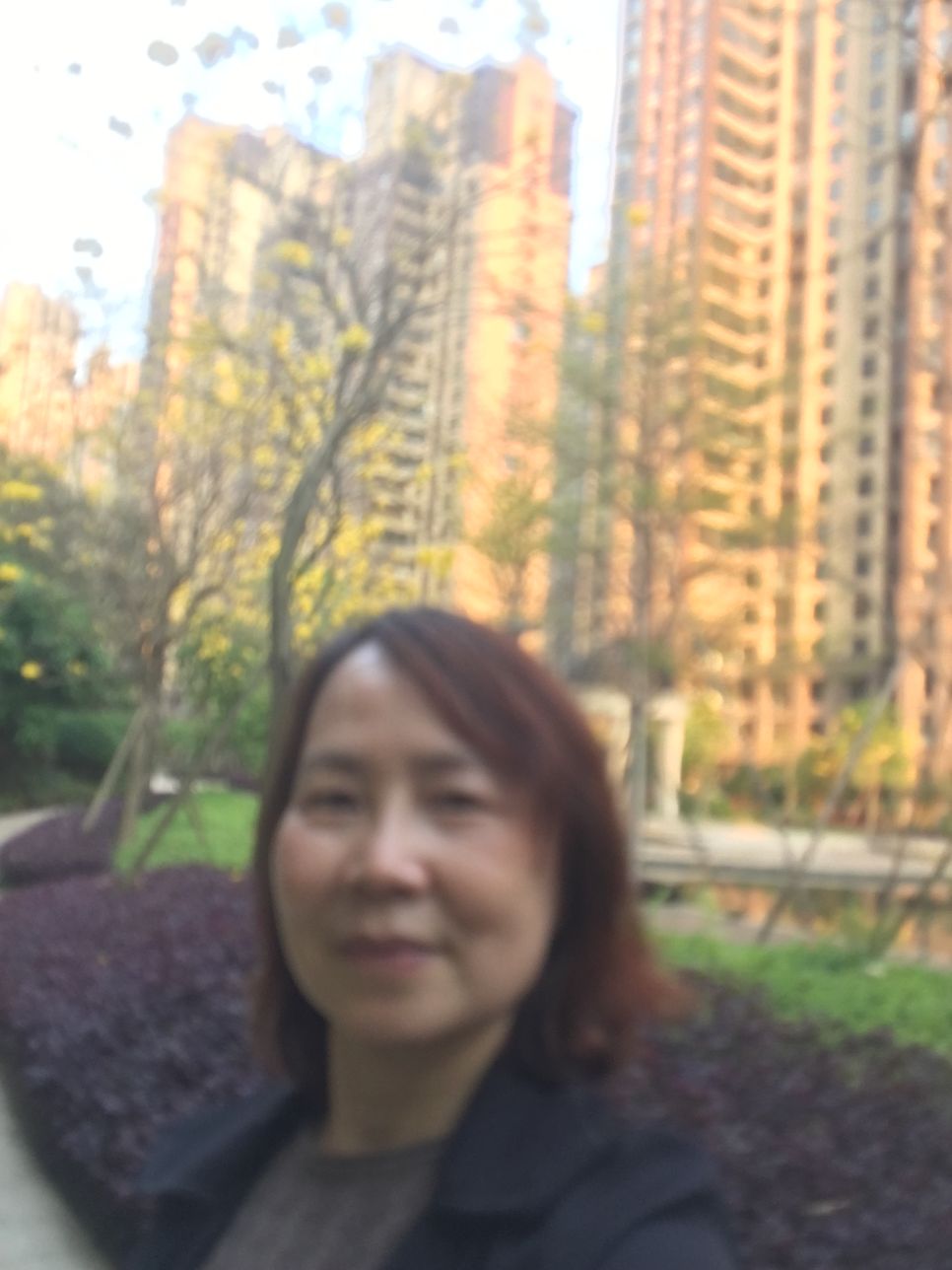 陈锦霞头像