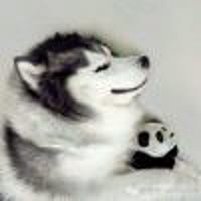 魏靖头像