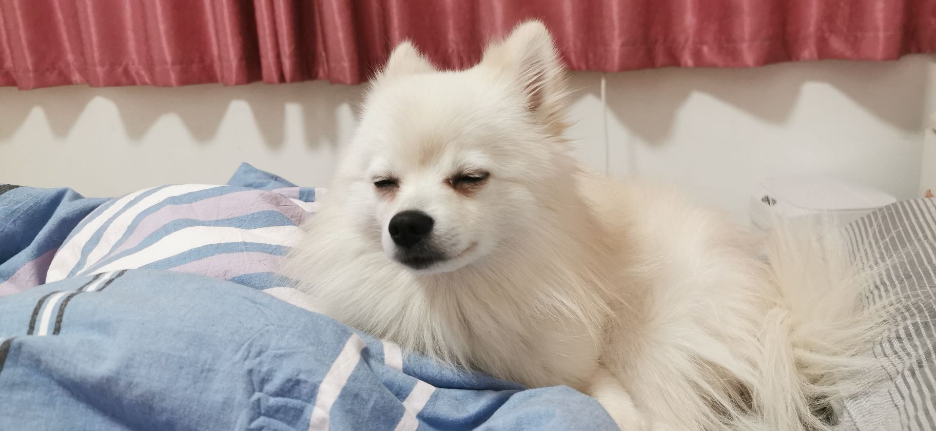 顾羽头像