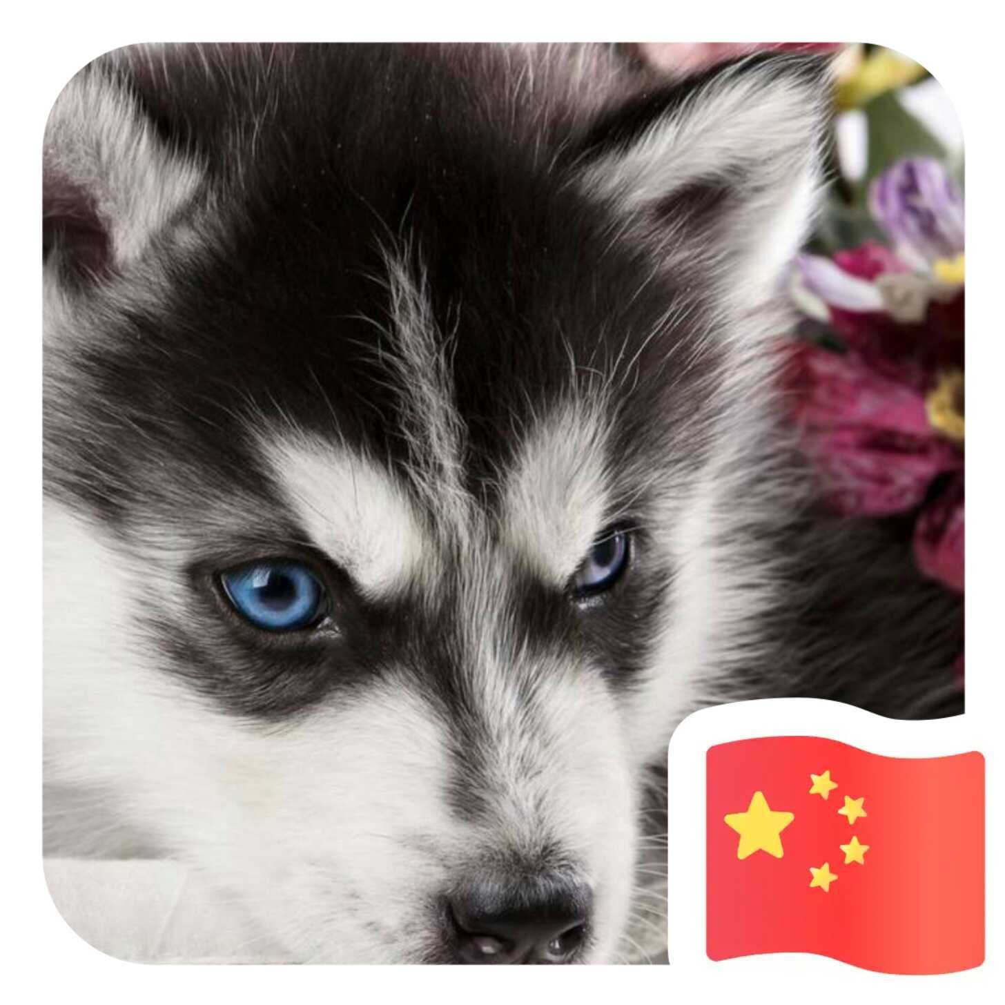 傅春雨头像