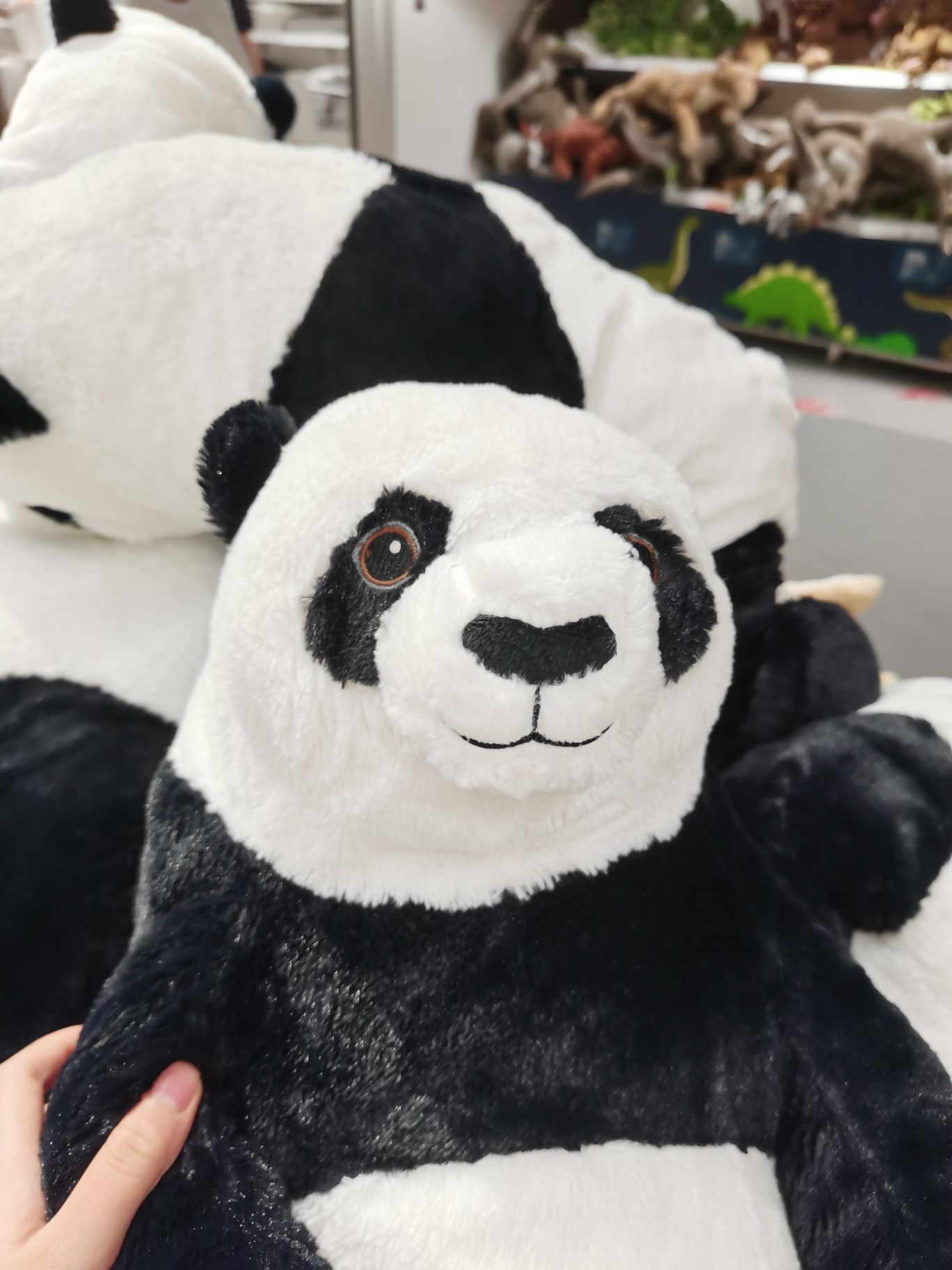 唐林娟头像
