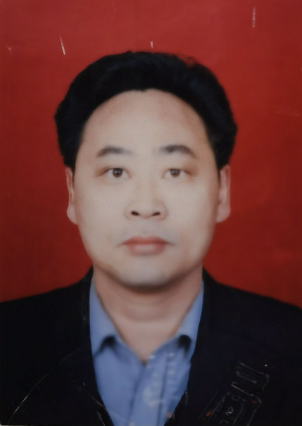 陈树新头像