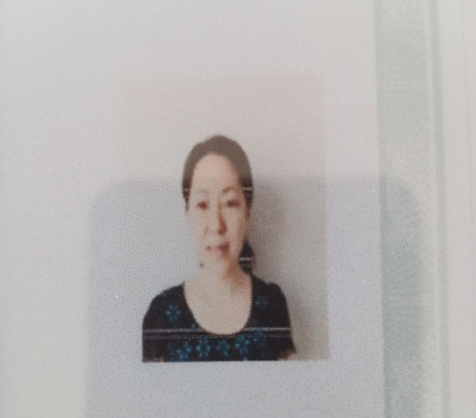 蔡焱焱头像