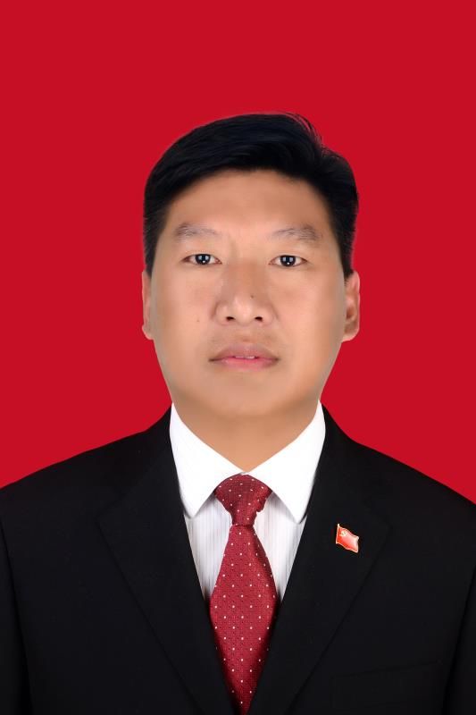 蜂金国头像