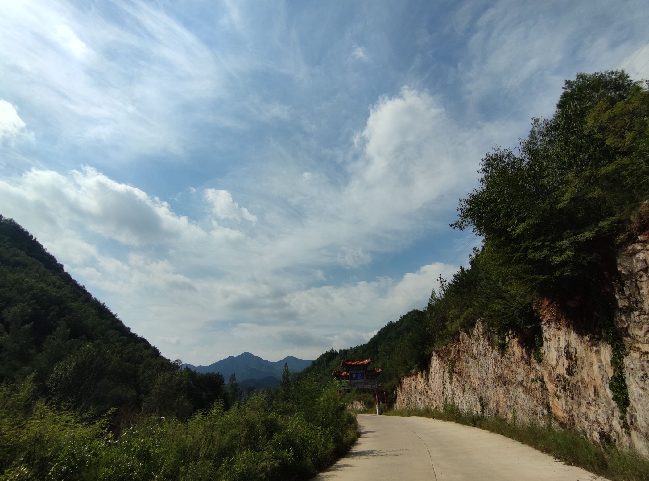 高洋头像