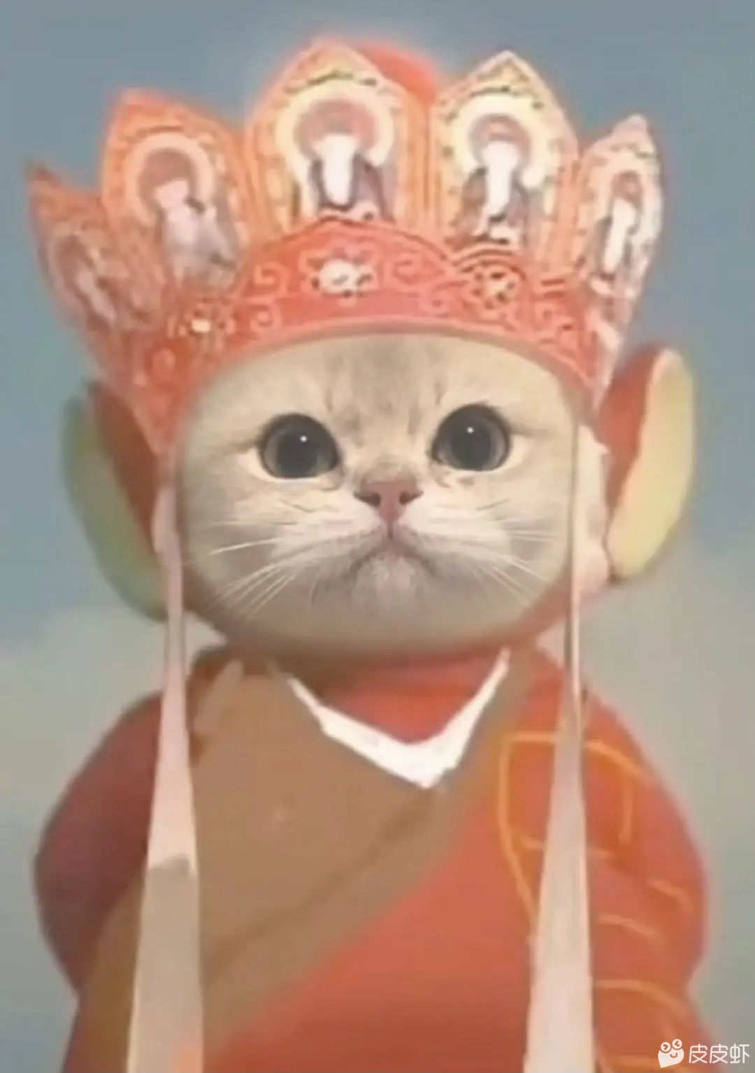 谢明明头像