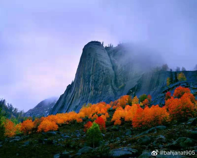 杨明强头像