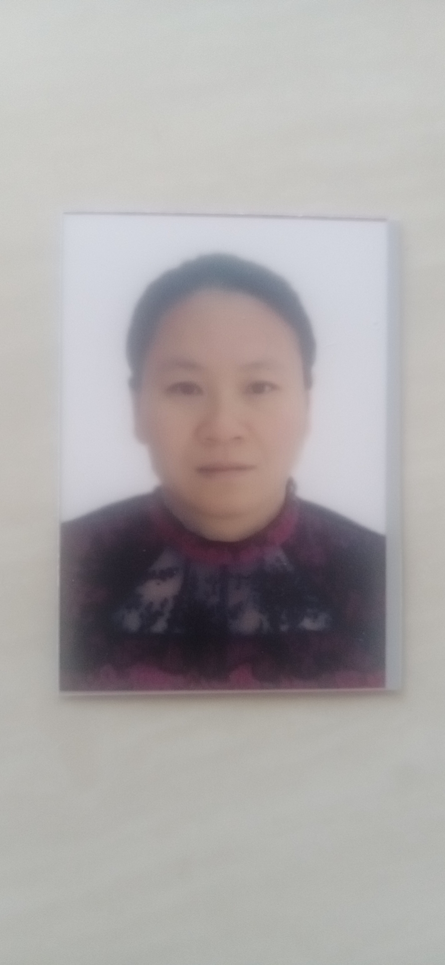 陈明艳头像