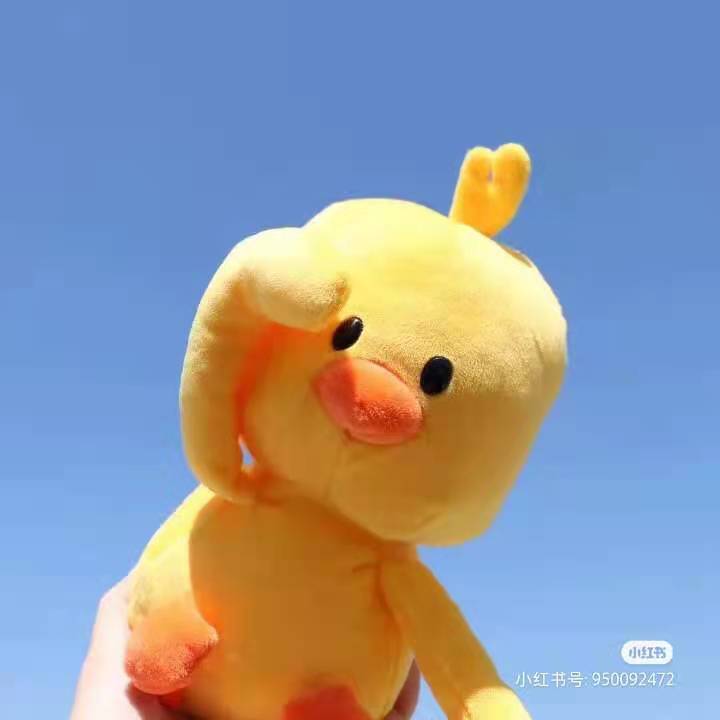 孙丽头像