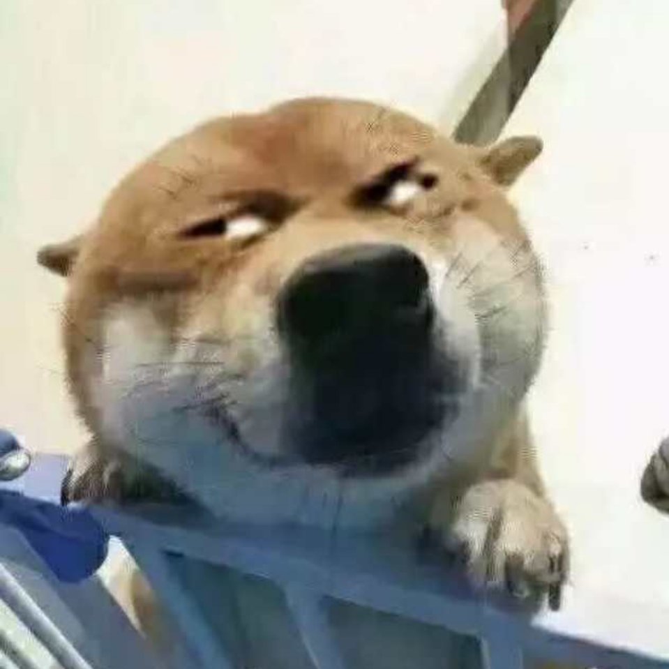 郭浪头像