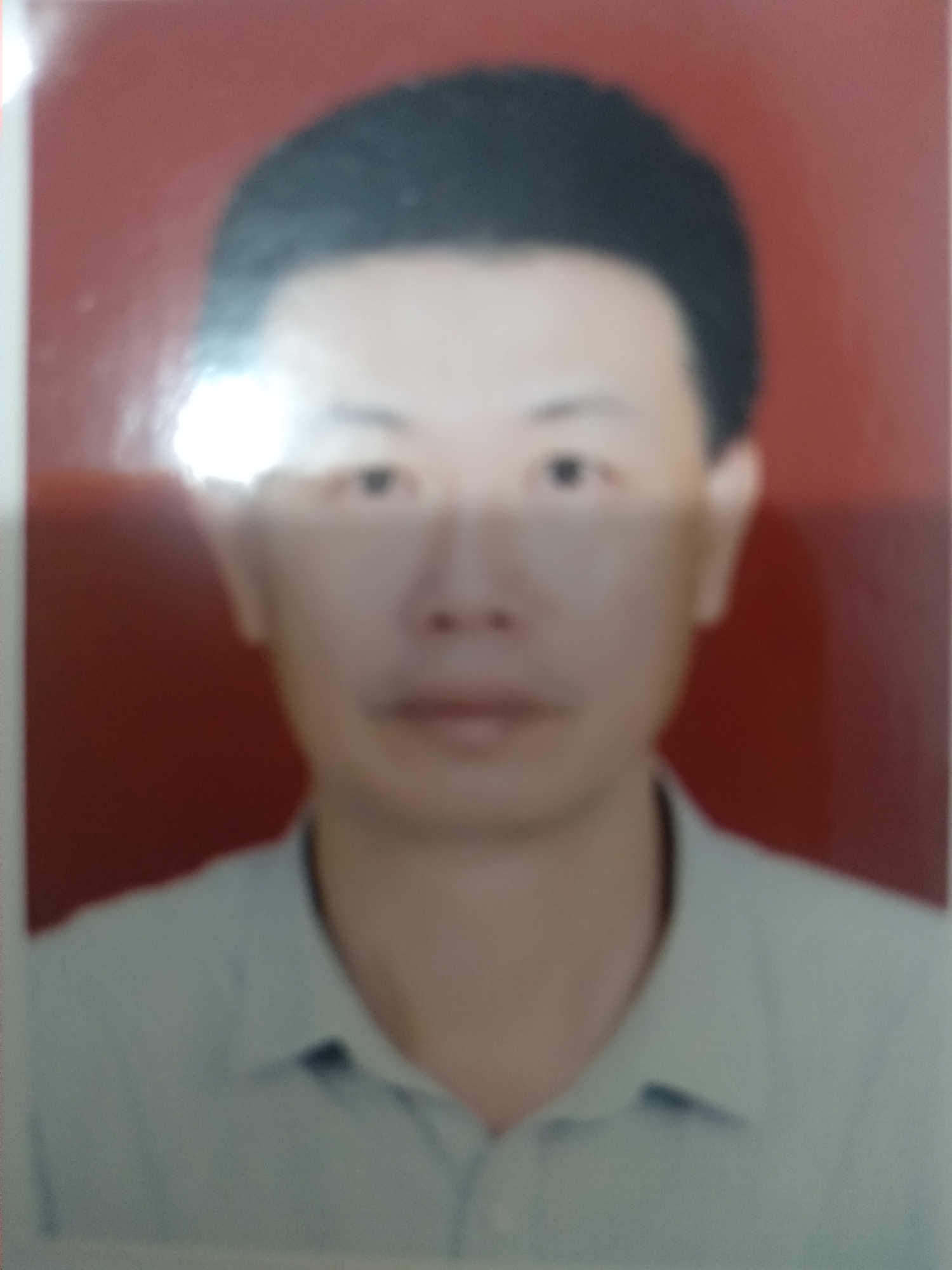 陈凯宏头像