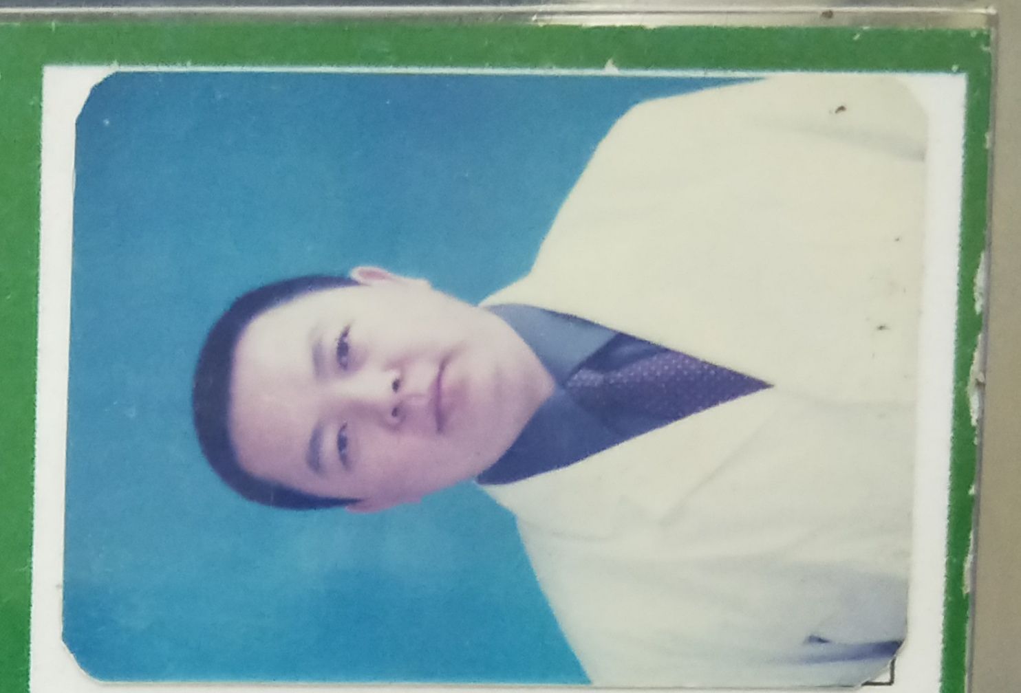 杨明宇头像