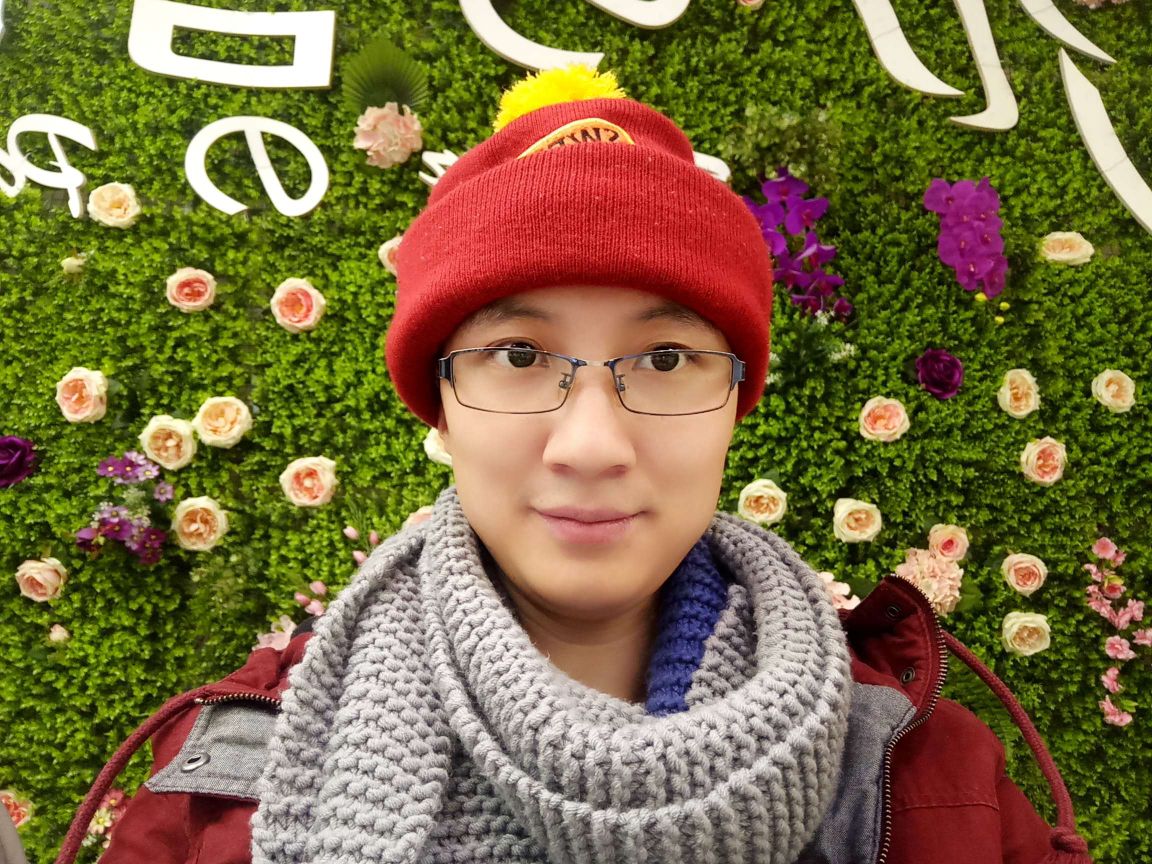 罗金头像