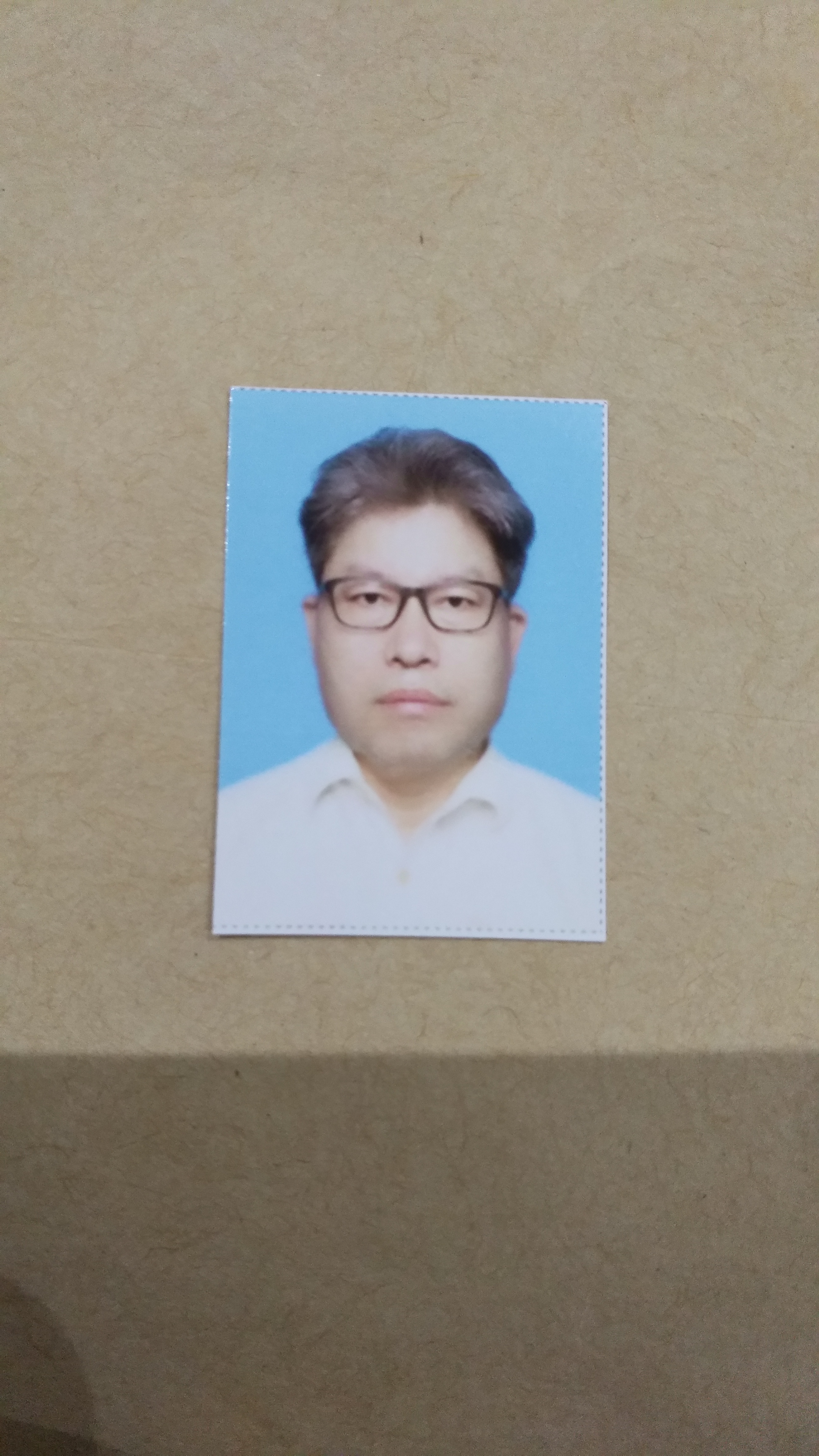 杨宝龙头像