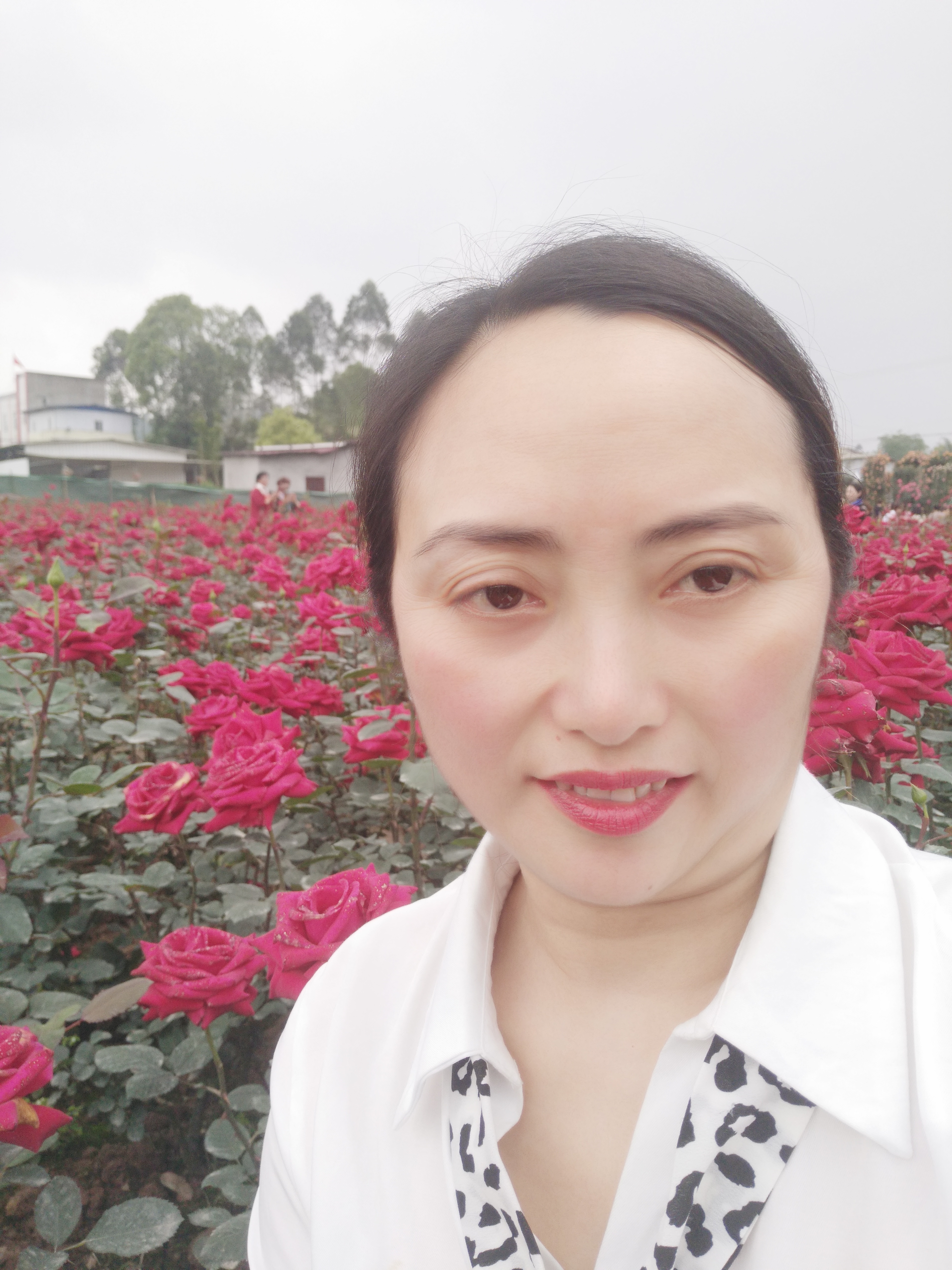 刘燕琼头像