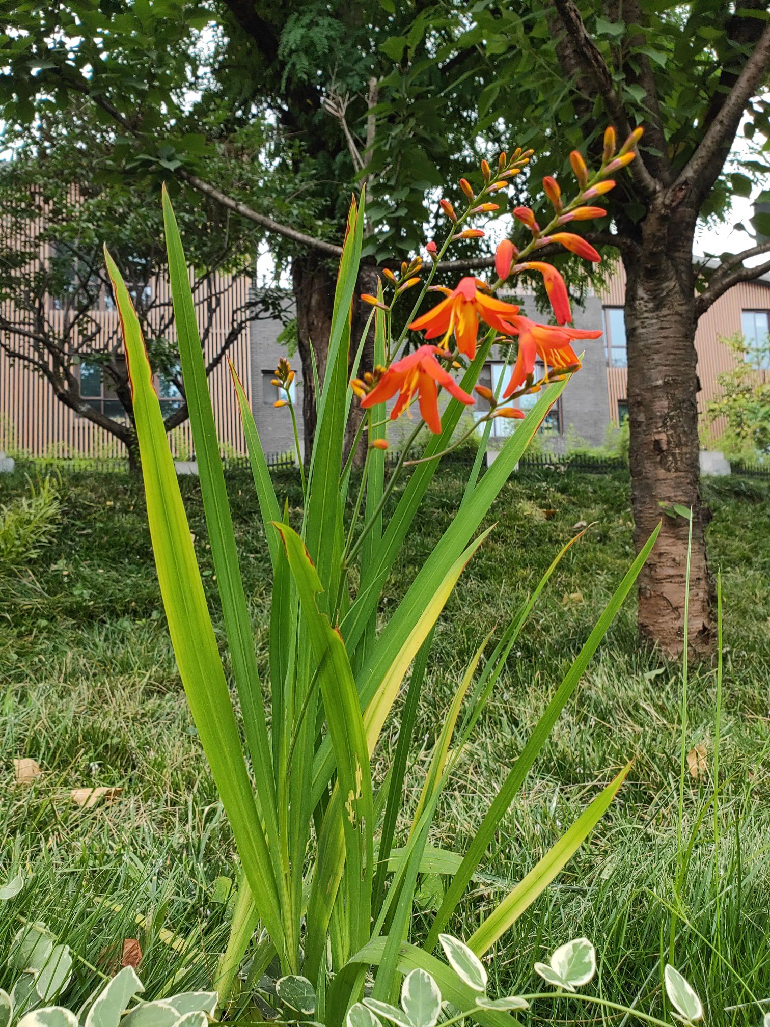 王尉头像