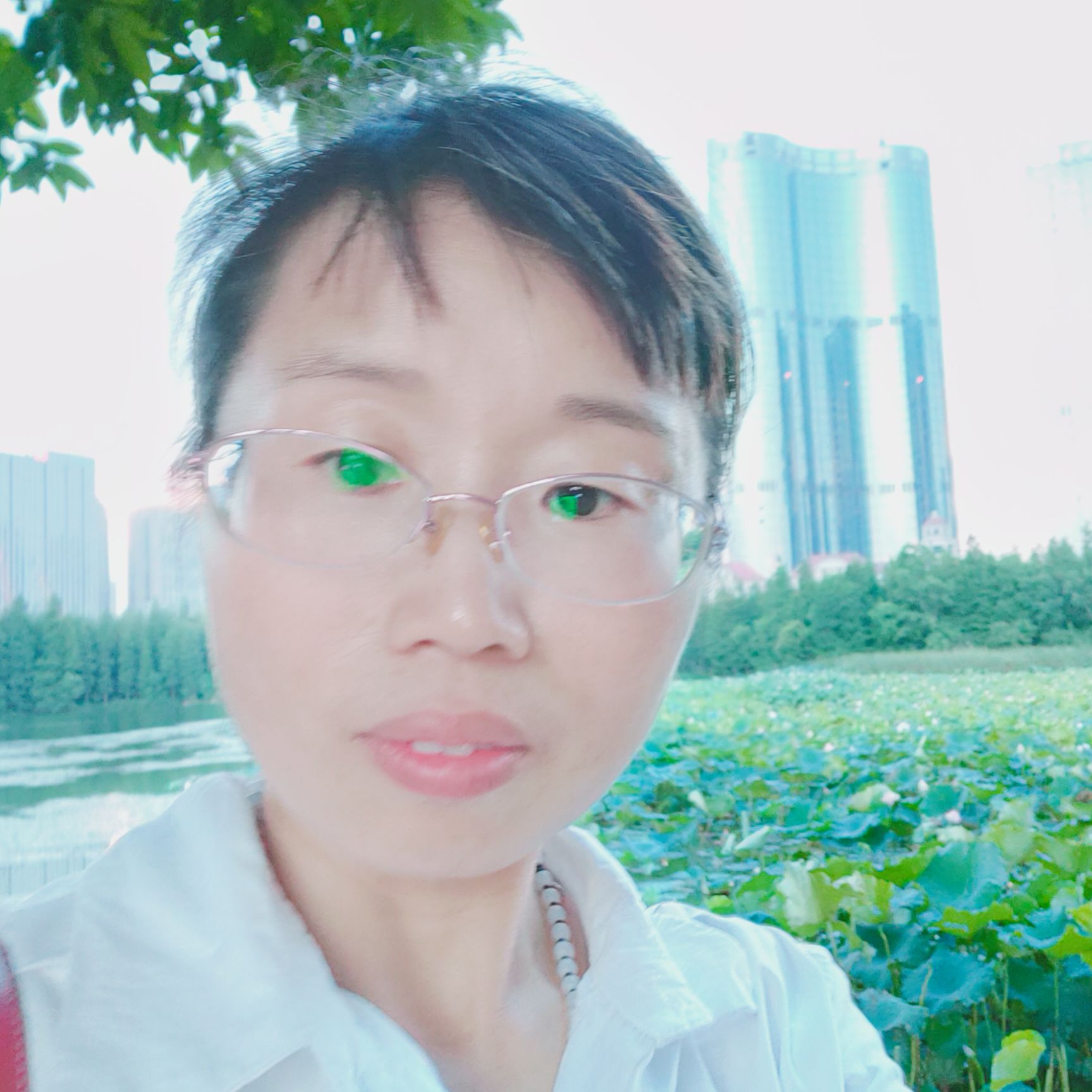 杨高娥头像