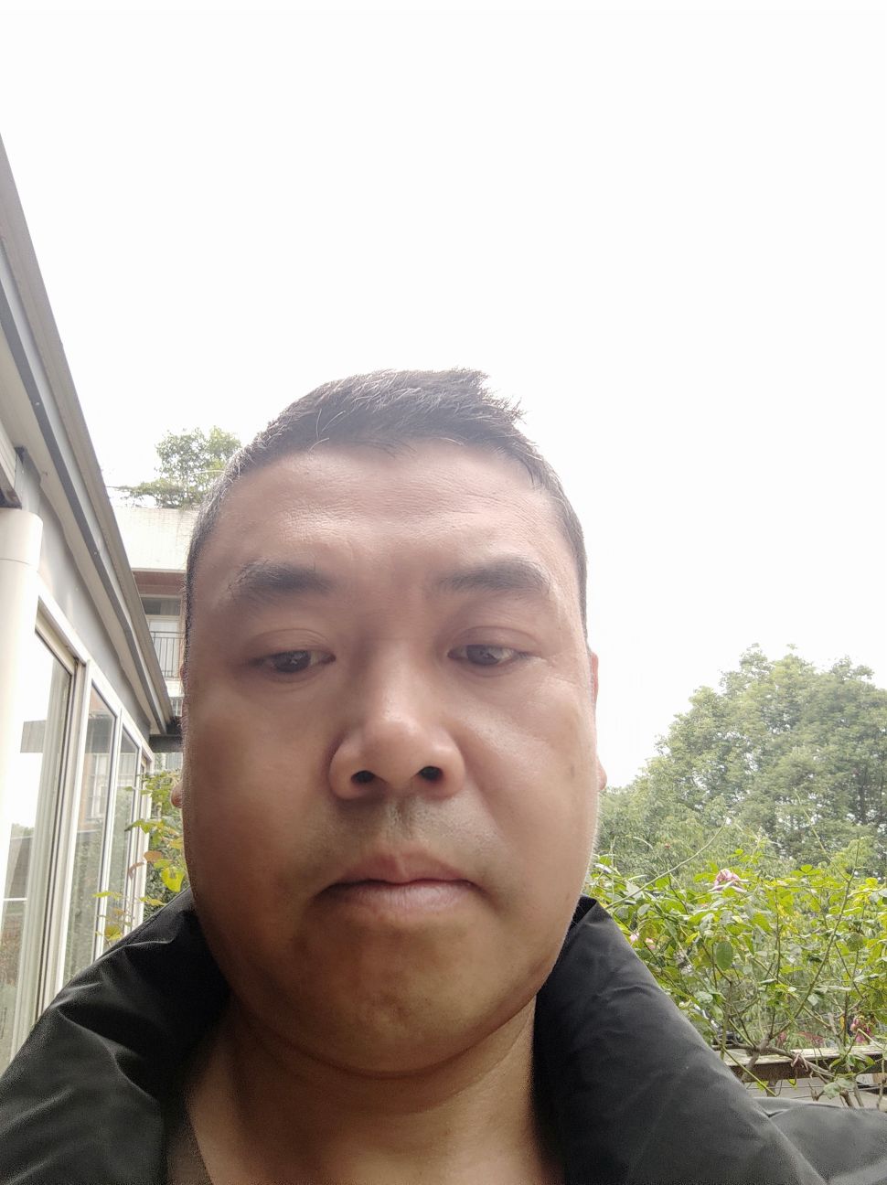 秦朝虎头像