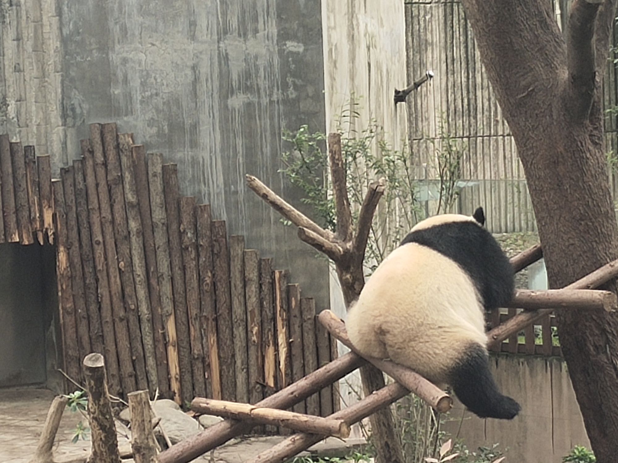 刘旭瑞头像