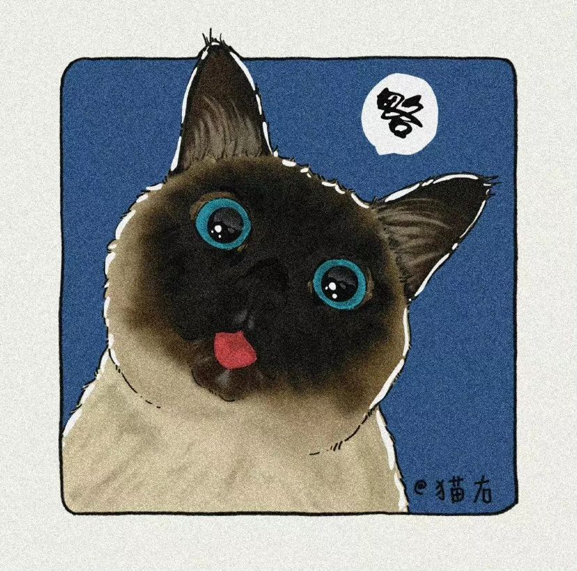 徐鹏雁头像