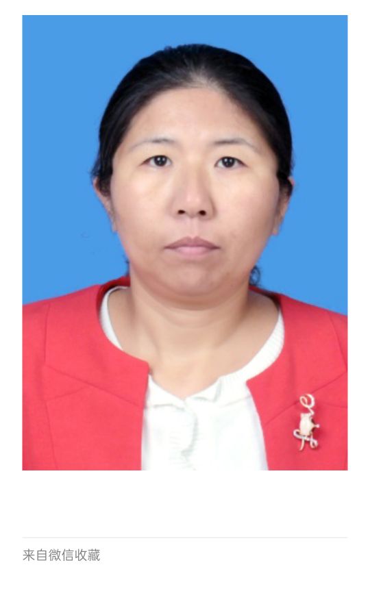 杨树梅头像