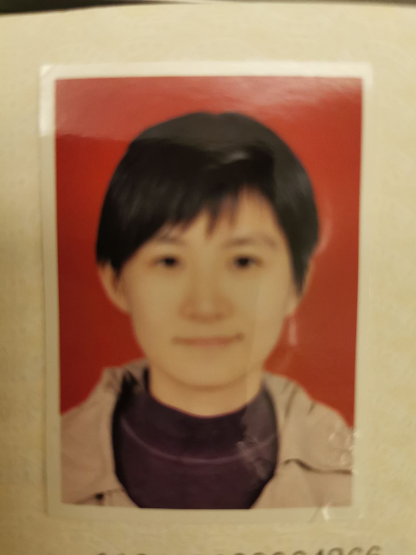 陈晓颖头像