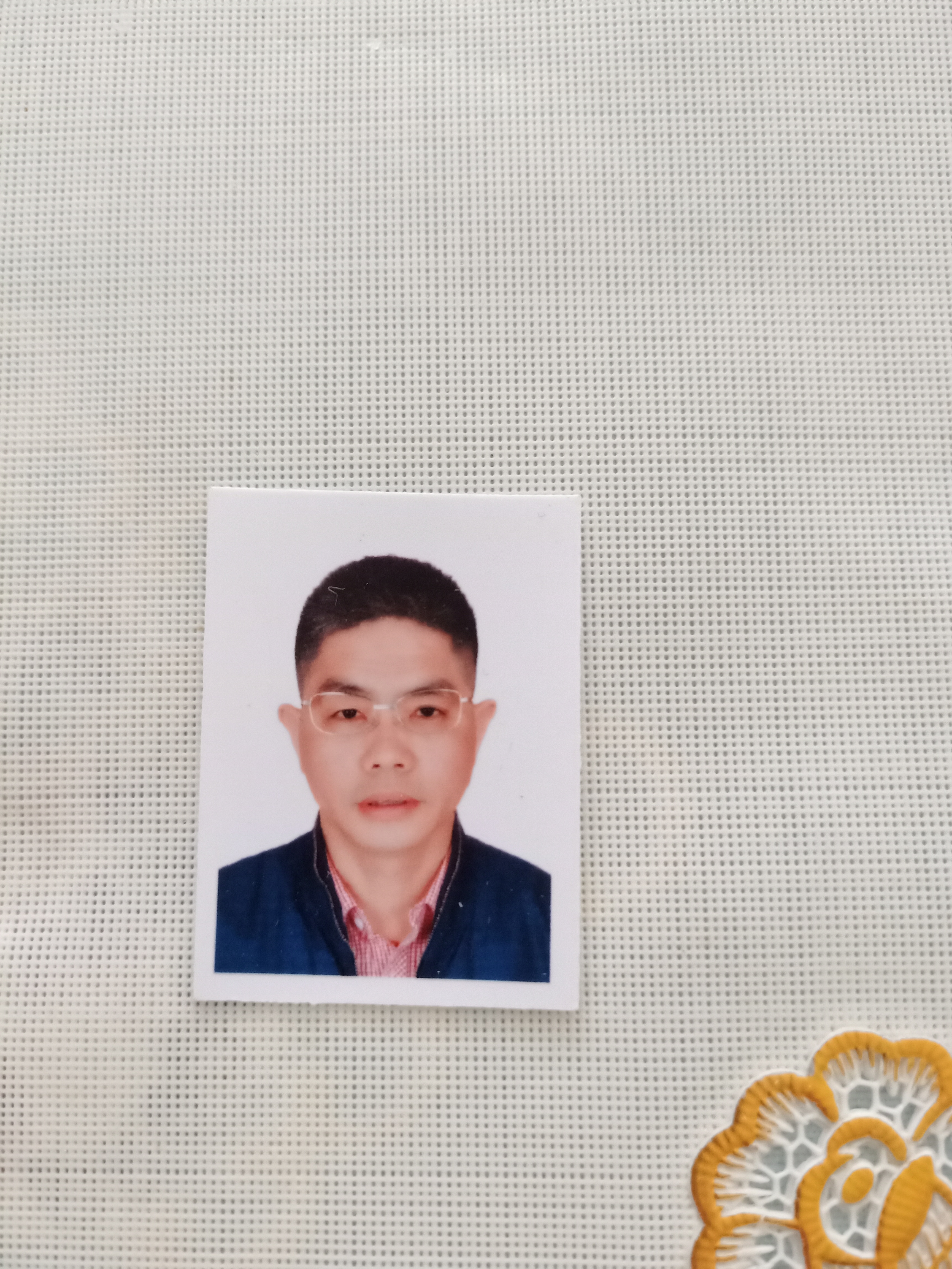 陈怀书头像
