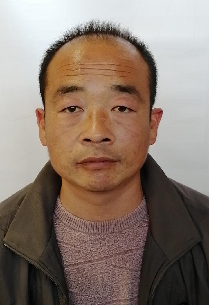 王跃龙头像