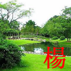 杨明睿头像